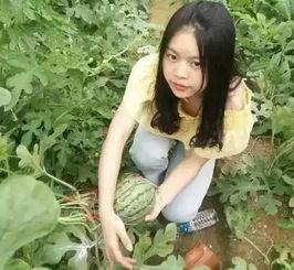 落梦楠娱乐吃瓜