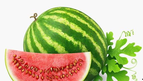 娱乐吃瓜酱一半是植物人,揭秘娱乐吃瓜酱背后的绿色秘密